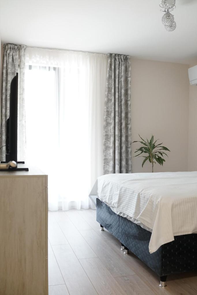 Todorovi apartments 3 3