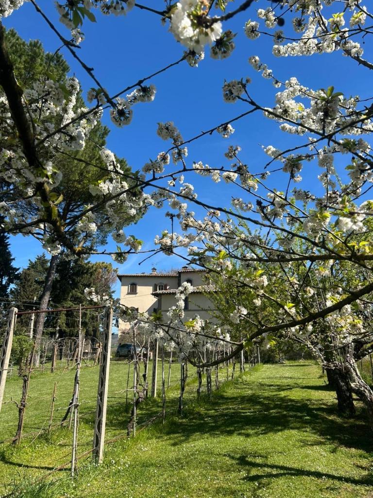 Le Due Querce 3