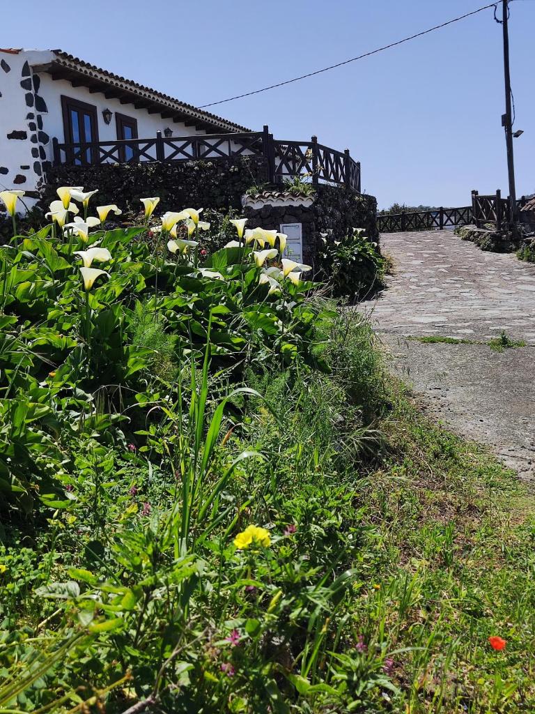 Casa Rural Monte del Agua 2