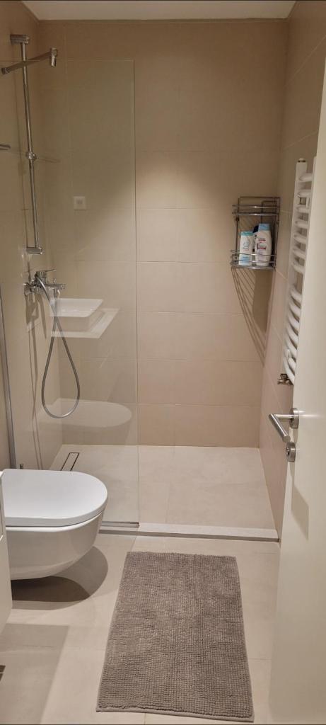 BW Metropolitan apartman 1308-with a view of the river and free garage parking 8