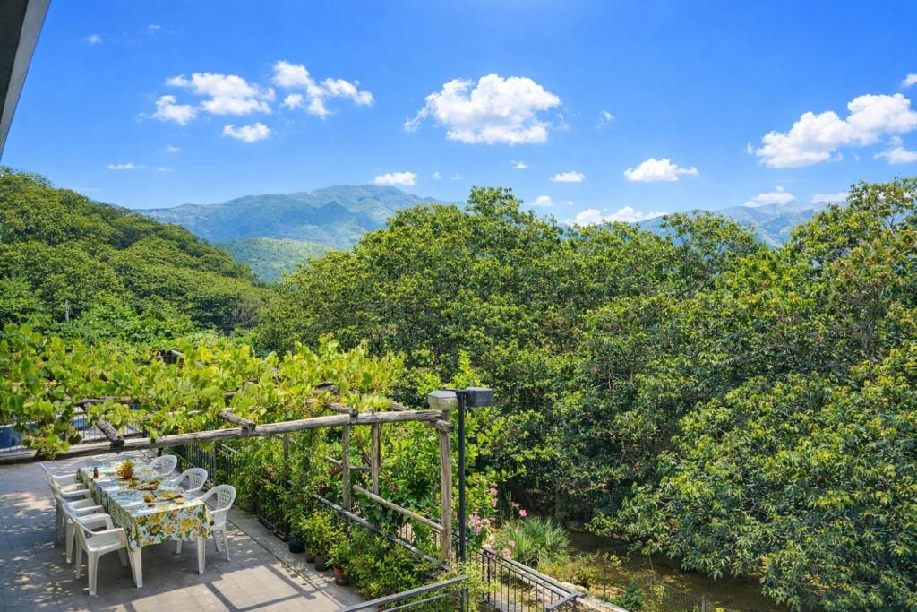 Nonna Teresa - the nature near Amalfi 8