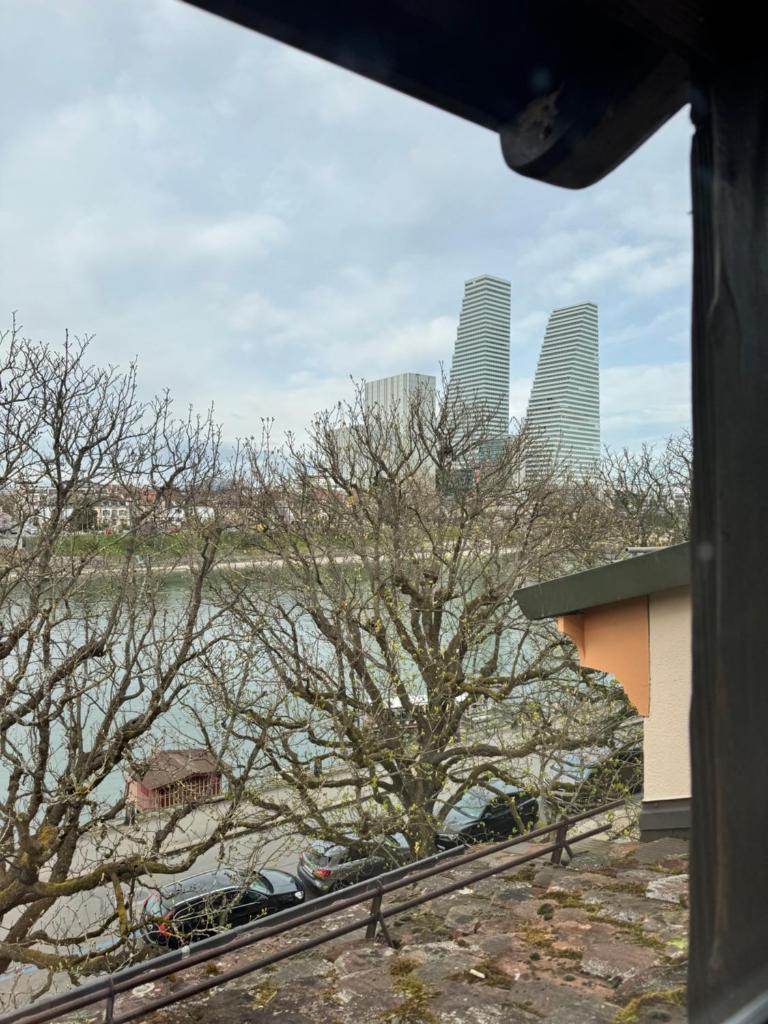 Studio 8 Rhine View - Quiet and Cozy - 10min Walk to City Center, 15min to Main Station 1