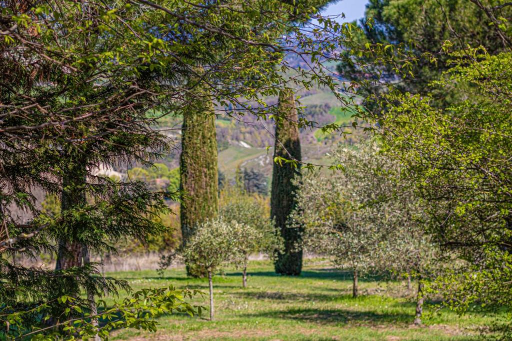 Casa Maria in Bologna - Unique Authentic Retreat 2