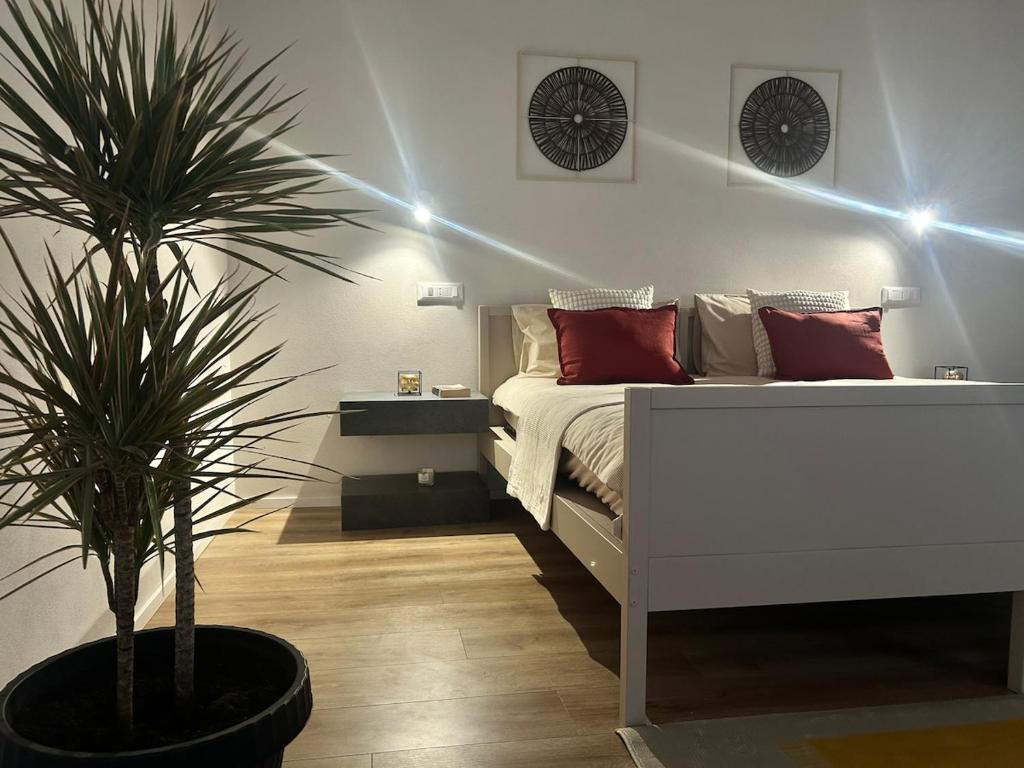 Relax in Padua, Near the Arena and the Canottieri Club 2