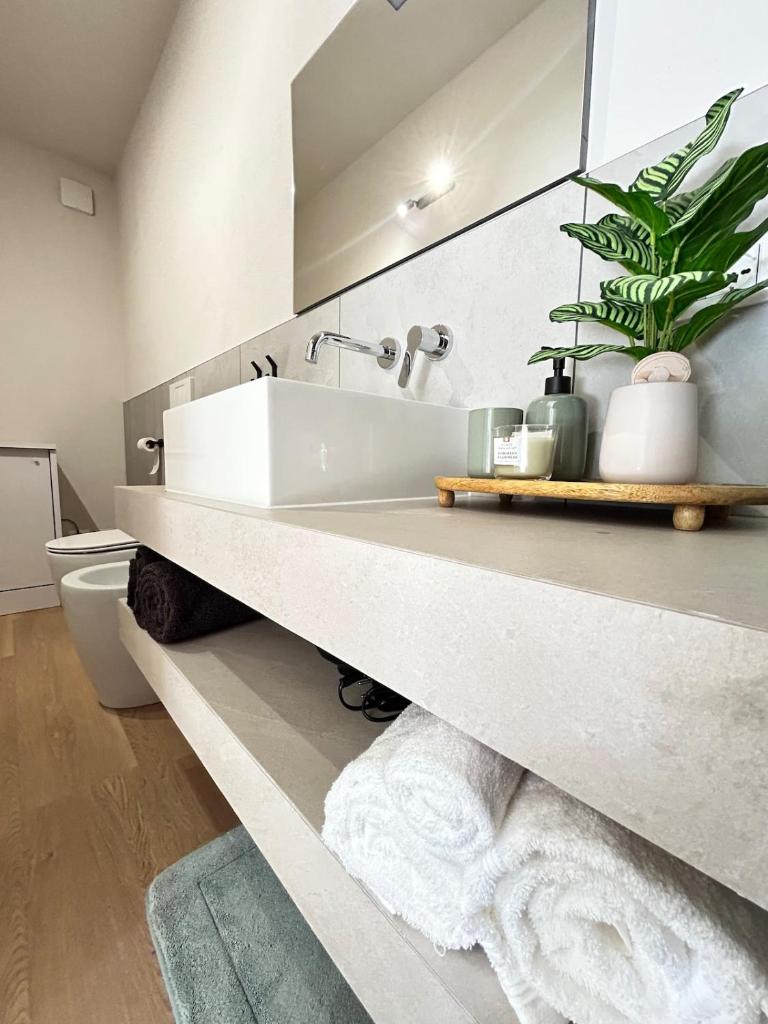 Relax in Padua, Near the Arena and the Canottieri Club 3
