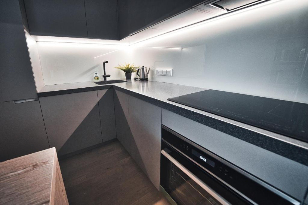 Modern central Riga apartment with balcony, gym access, dedicated parking, kitchen & AC 8