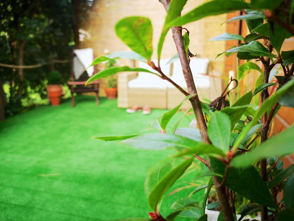 Apartment Berlin | Garden, Terrace, Nature 3