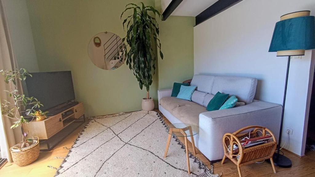 Duplex atypique terrasse 5