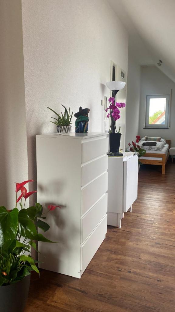 Deluxe helle Apartments mit Terrasse & WLAN zw Freiburg u Frankreich, private Zimmer für Handwerker 3