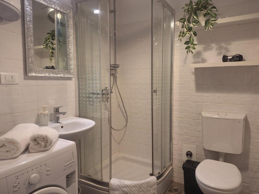 Perfect Location Split Center Apartments 5