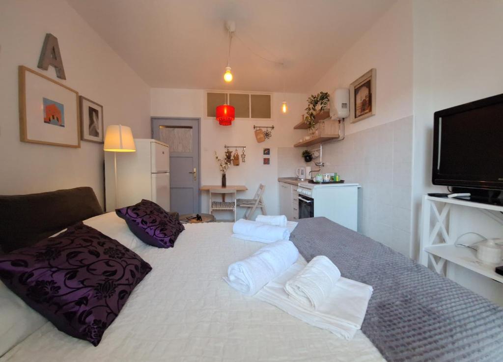 Perfect Location Split Center Apartments 6