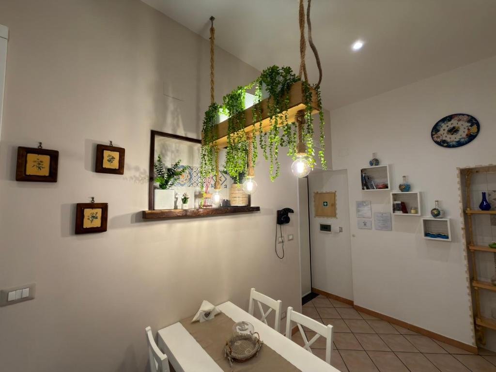 Sweet Home QuiSiSana 1
