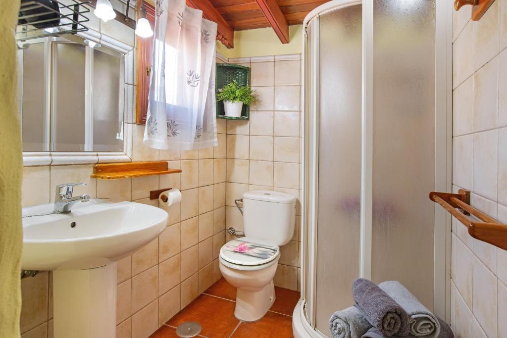 Casita Roque Nublo 8