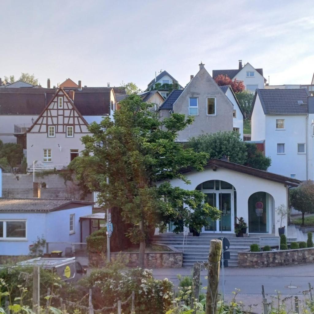 Auszeit Rheingauer Rosengarten 5