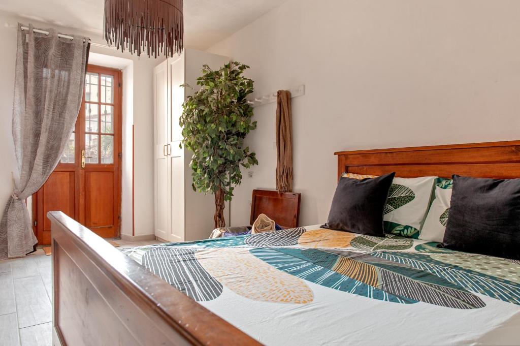Casa Zito 2
