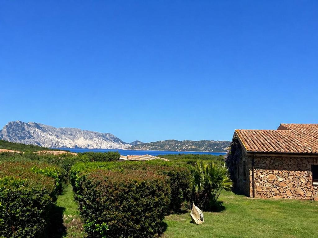 Villino Coda Cavallo Cala Paradiso