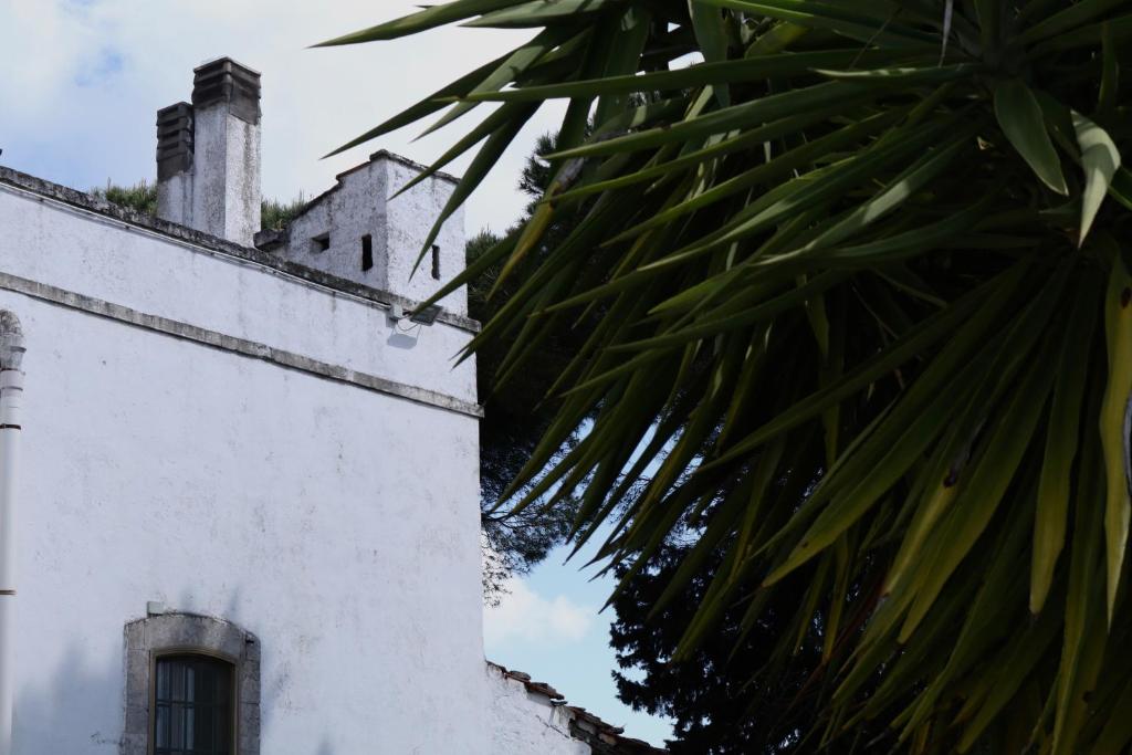 Masseria Cielo Cielo - DIEMME STAY 2