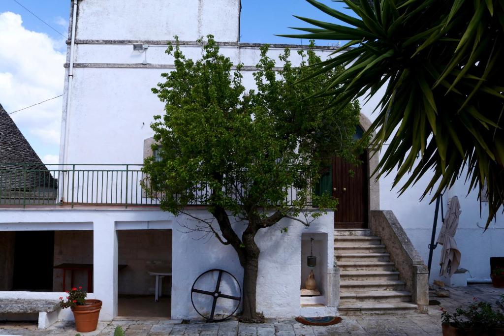 Masseria Cielo Cielo - DIEMME STAY 3