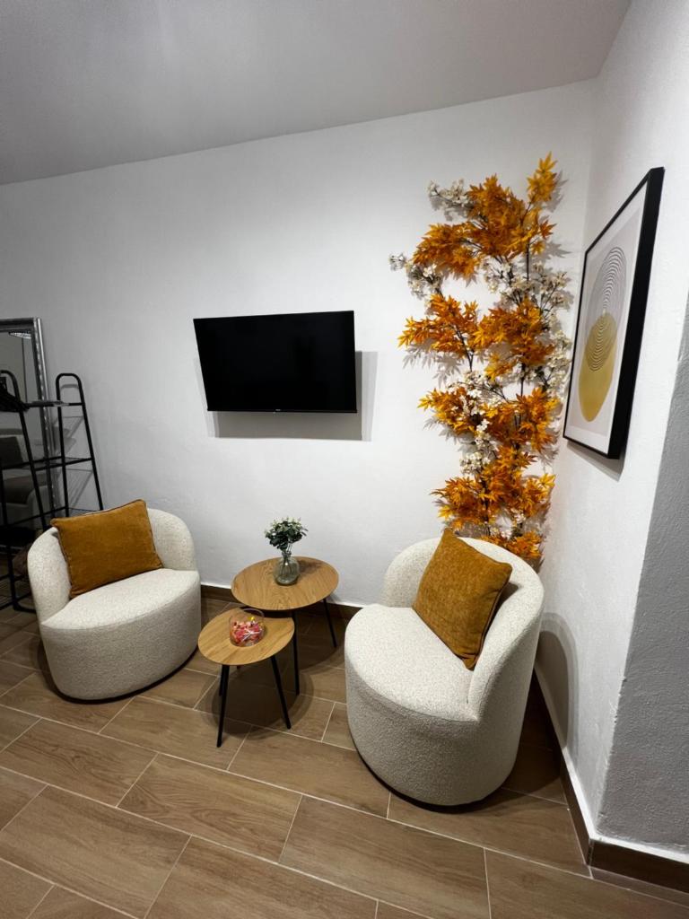 Apartamento Mamalú Jerez 5