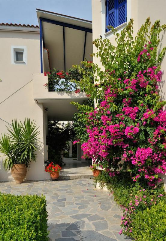 Anesis Village Studios and Apartments 5