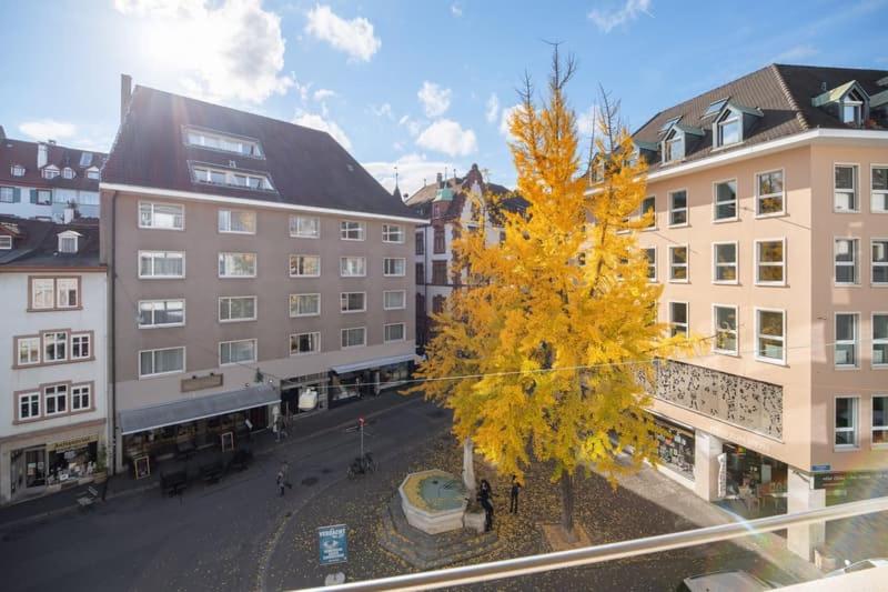 Apartmenthaus zum Trillen Basel City Center 6