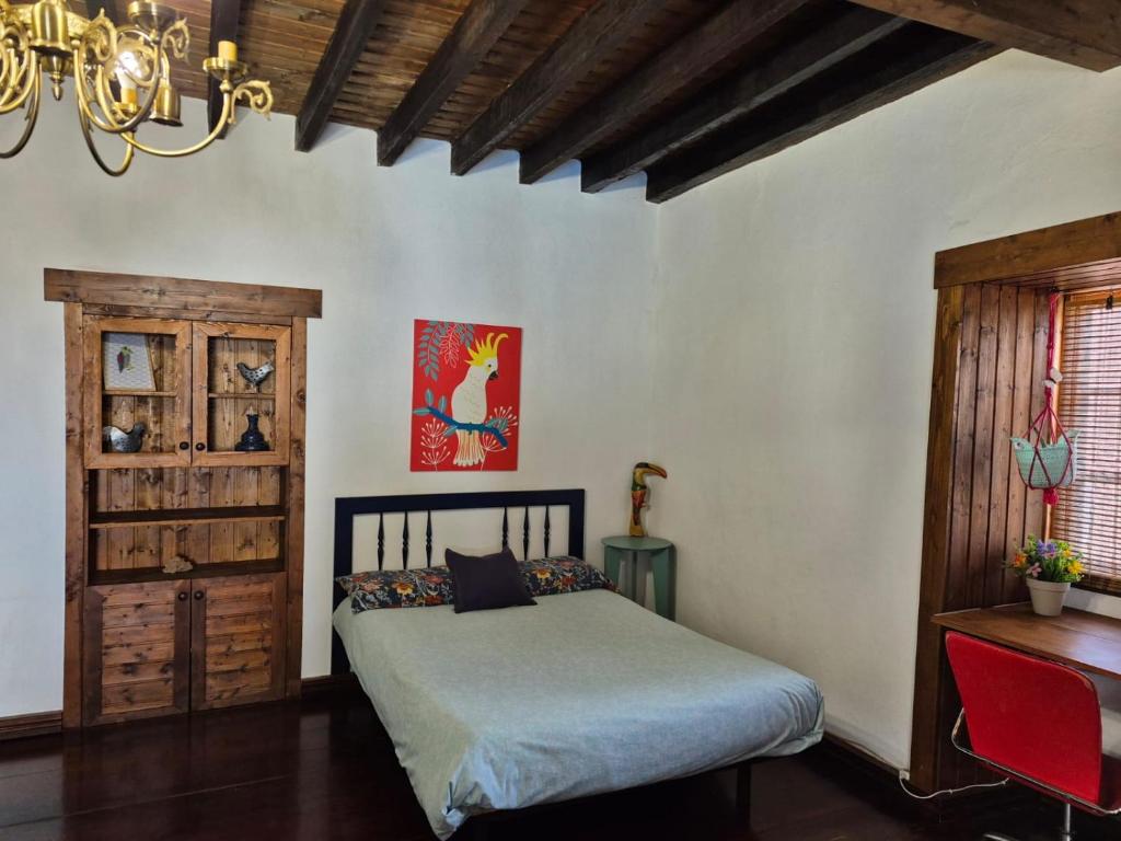 Casita Canaria 7