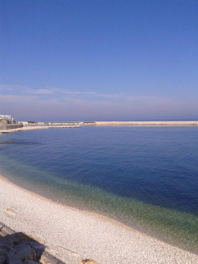une vue d'une plage avec l'eau dans l'établissement Hotel Salsello, à Bisceglie