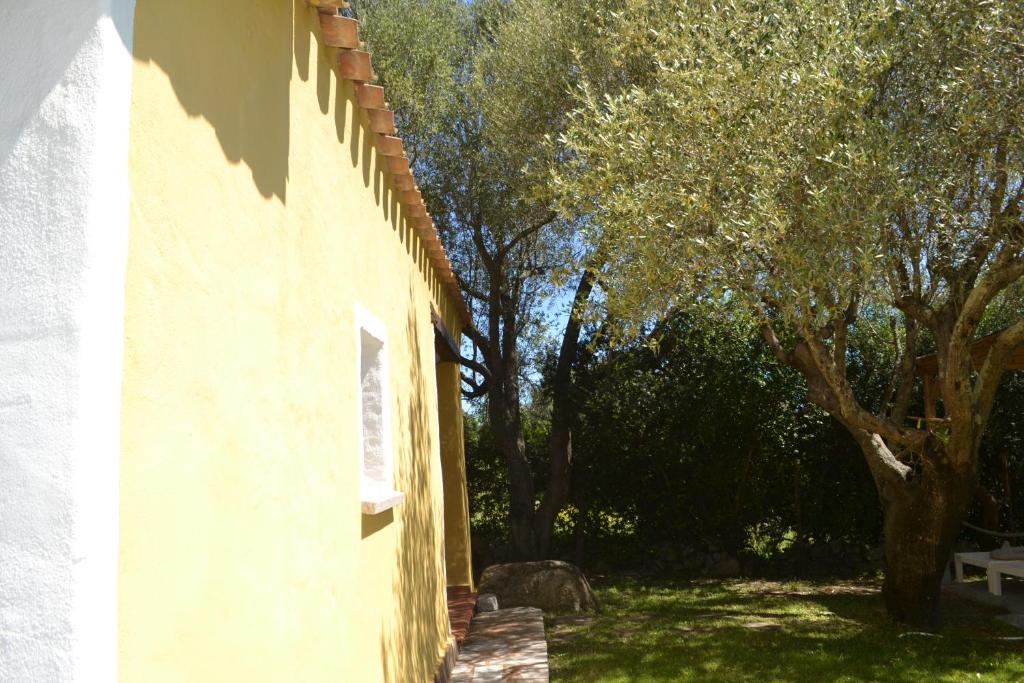 Azienda agrituristica contras 8