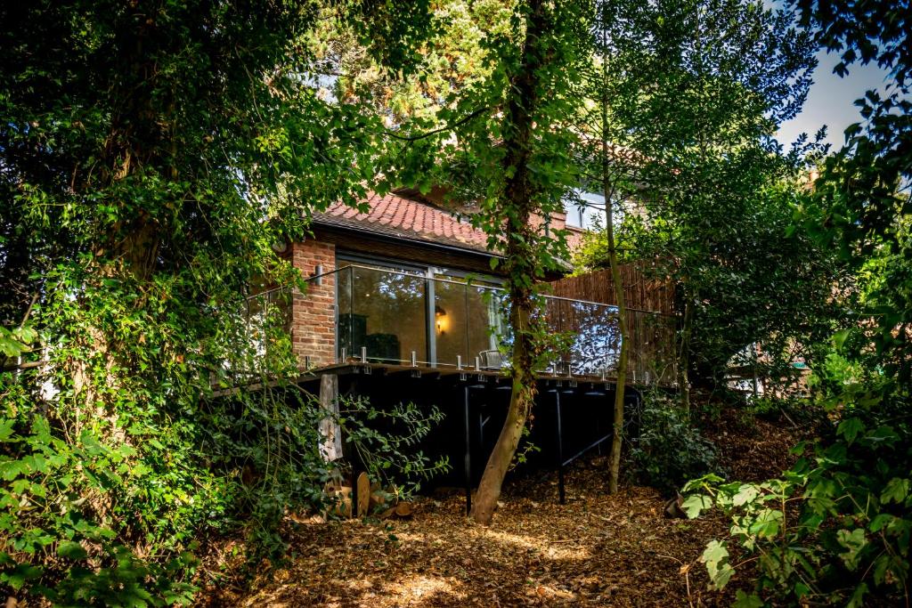 Tawny Lodge 1