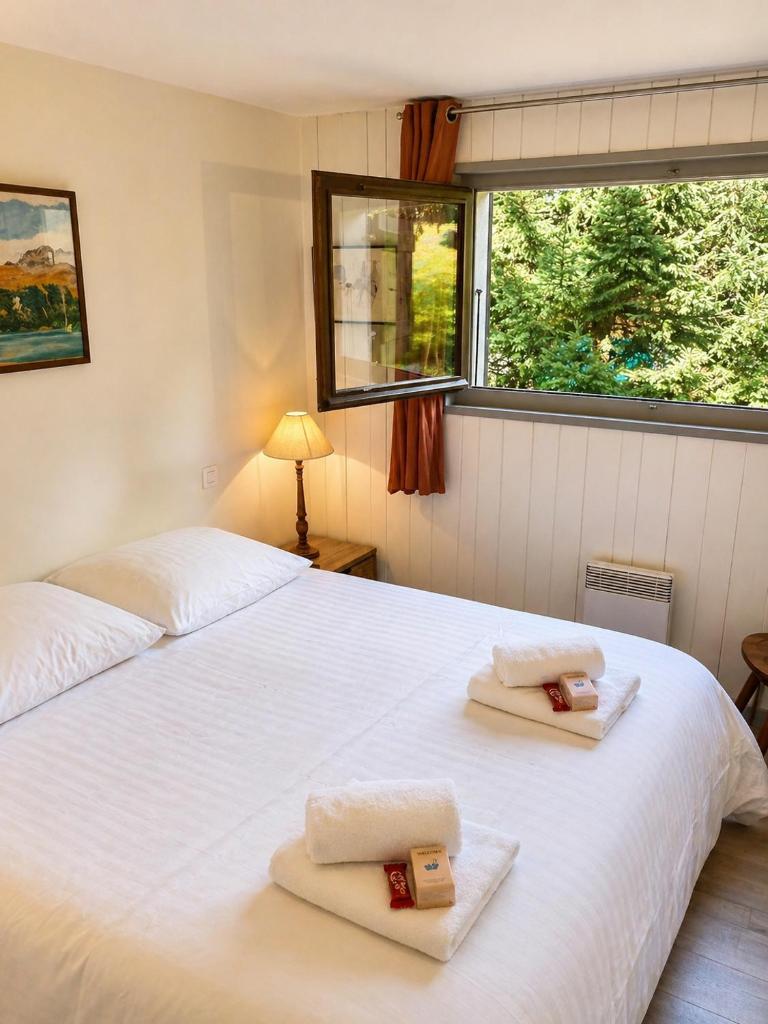 Appartement lumineux 2 ch Chamonix, proche Grands Montets, parking & ski locker 8
