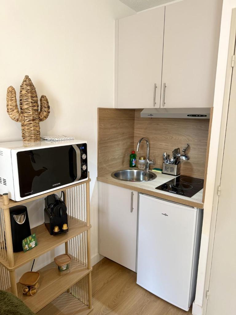 Le Gutenberg - Appartement centre ville 7