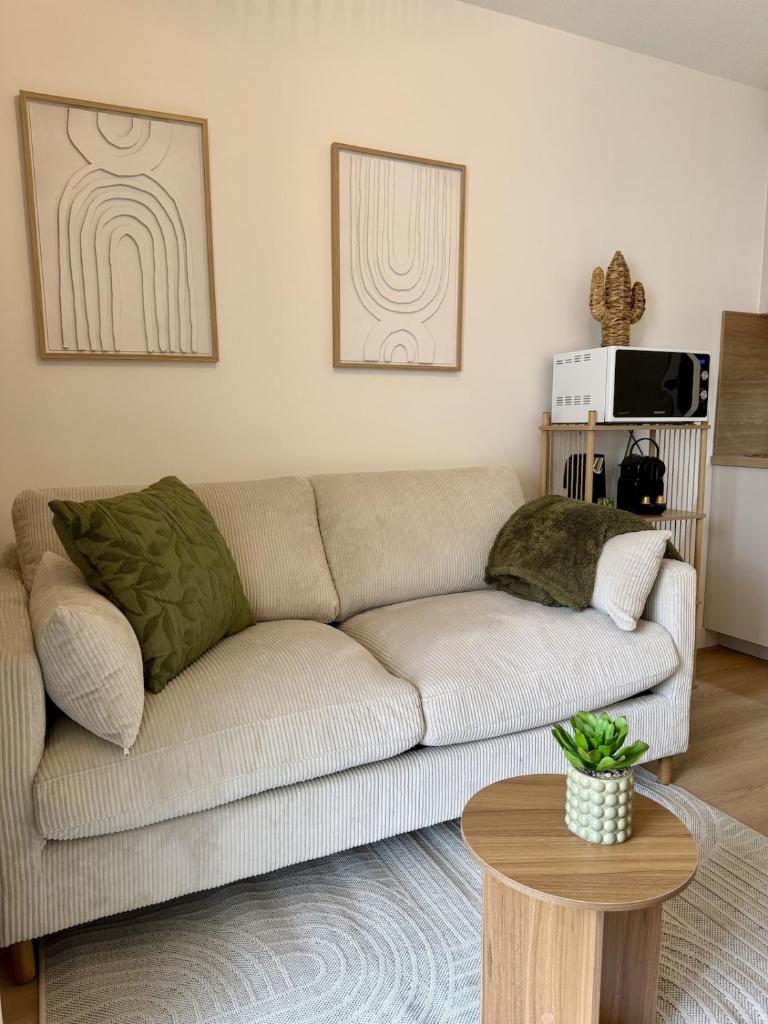 Le Gutenberg - Appartement centre ville 4