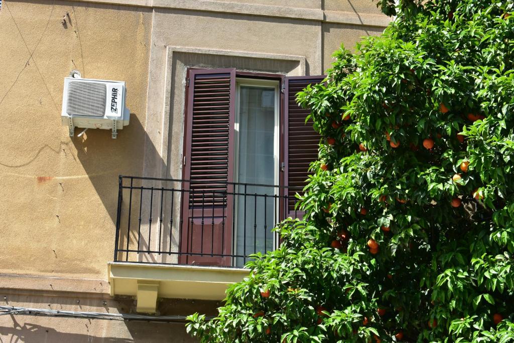 Coco's House Palermo 6