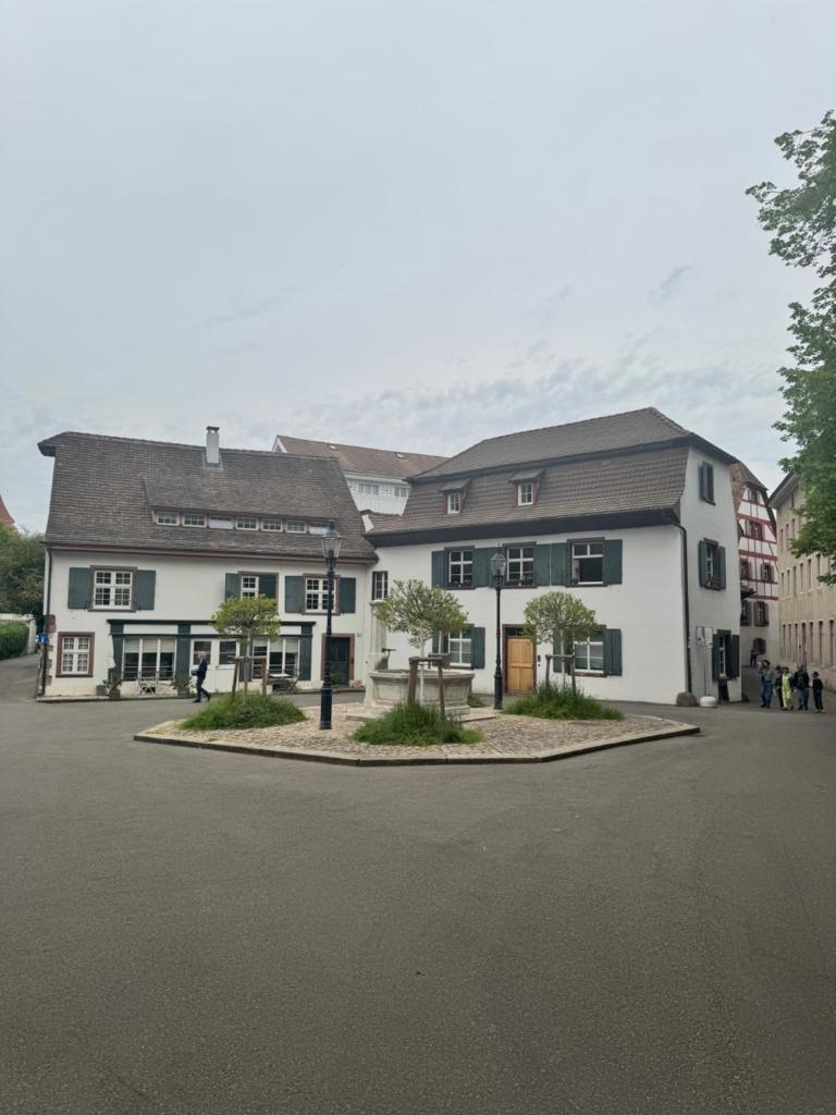 Studio 8 Rhine View - Quiet and Cozy - 10min Walk to City Center, 15min to Main Station 6
