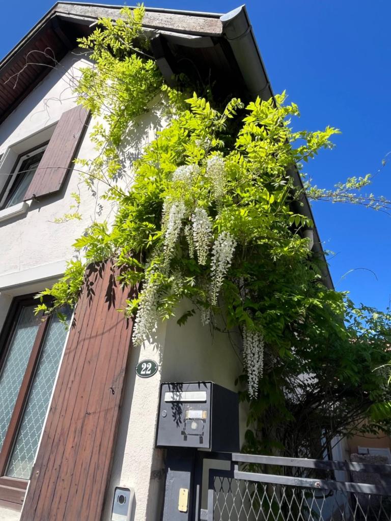 Maison privée de 70m2 avec pergola Et jardin à 15min centre de Strasbourg Chez Regine 8