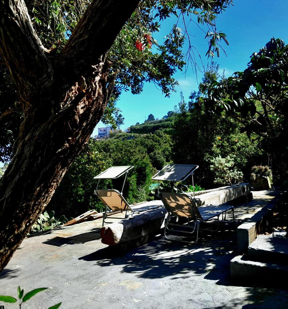 La casita del Lagar 8