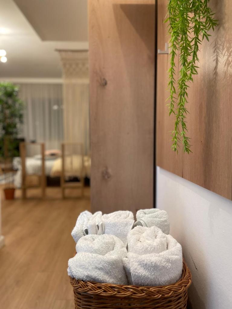 Studio Flat in the City Center 6