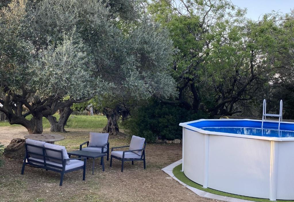 Petite maison sous les oliviers à Sanary 4