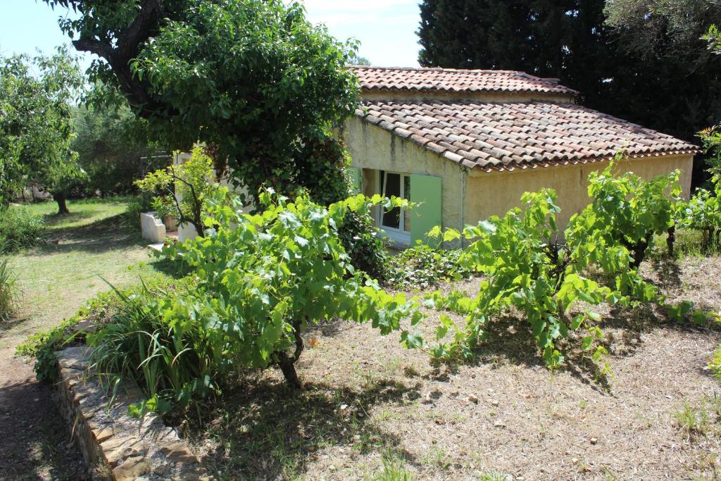 Petite maison sous les oliviers à Sanary 6