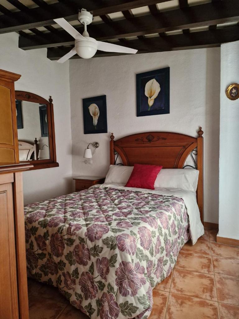 Casa Museo Jerez Centro 6
