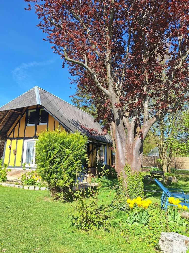 La petite maison 7