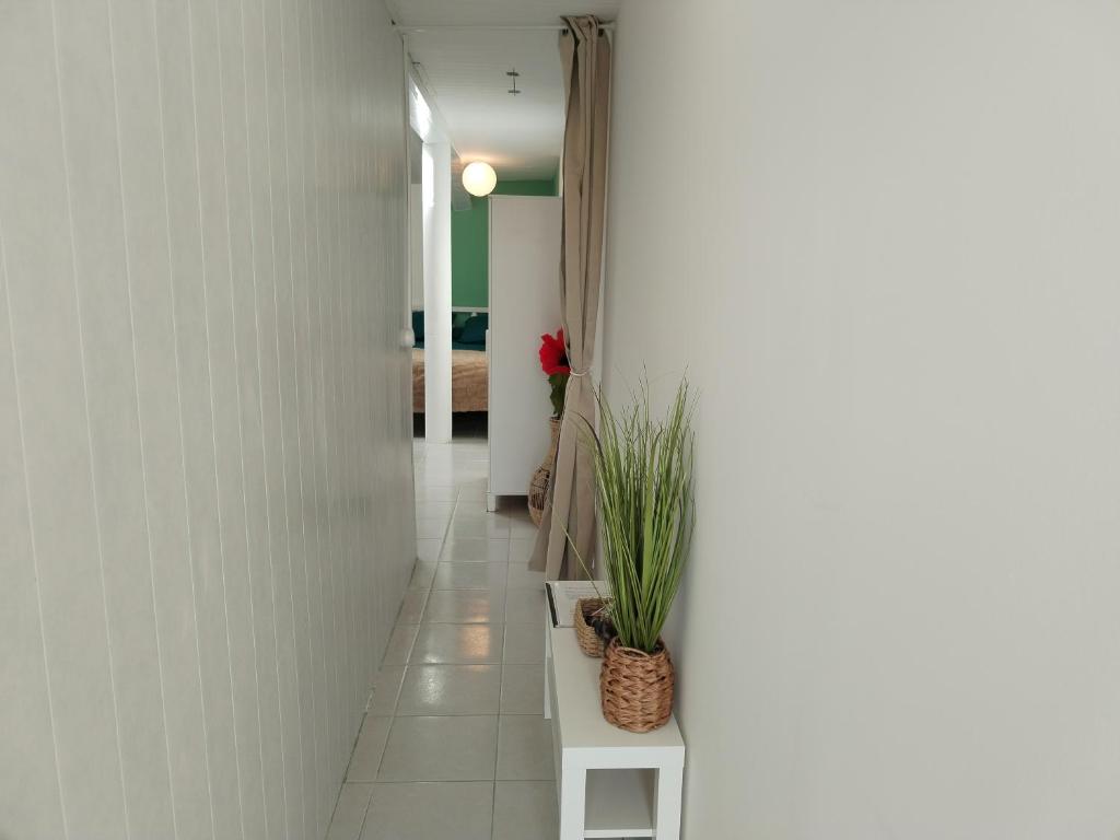 Studio entier et parking privé 8