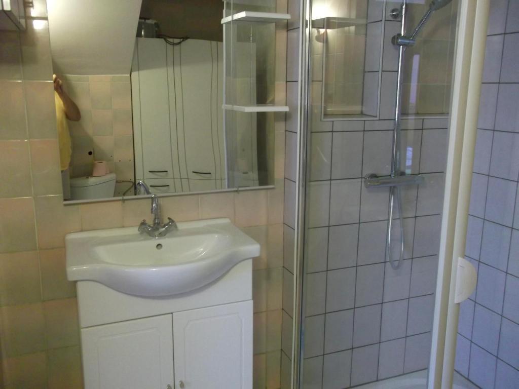 une salle de bain avec un lavabo et une douche dans l'établissement Gite les Rosiers, à Traubach-le-Bas