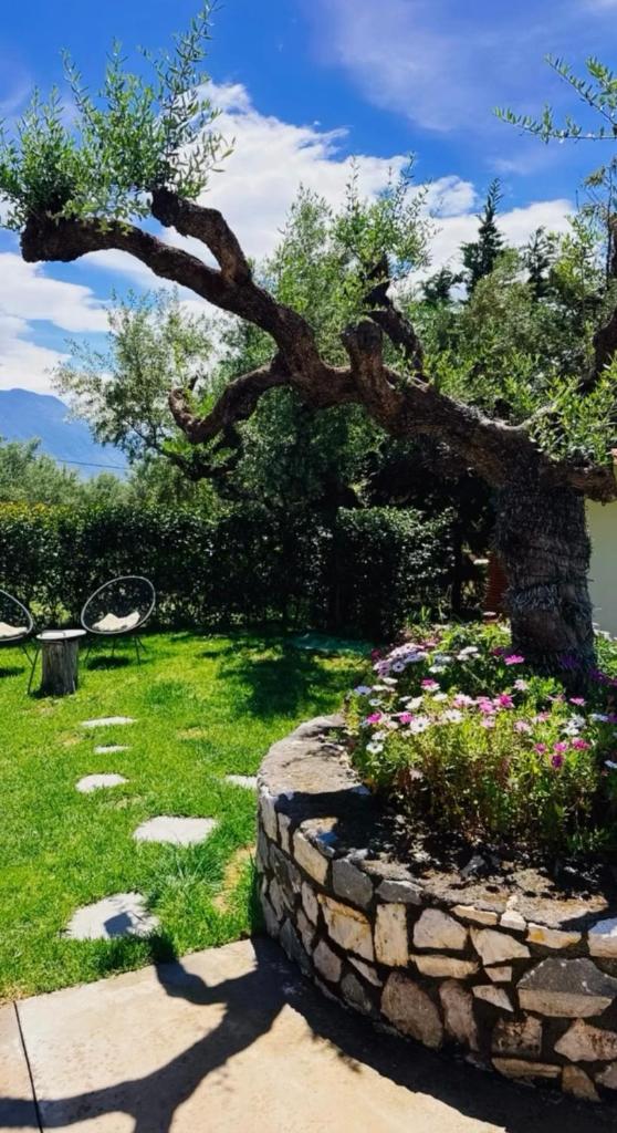 The Secret Garden at Villa Georgia Kalamata 4