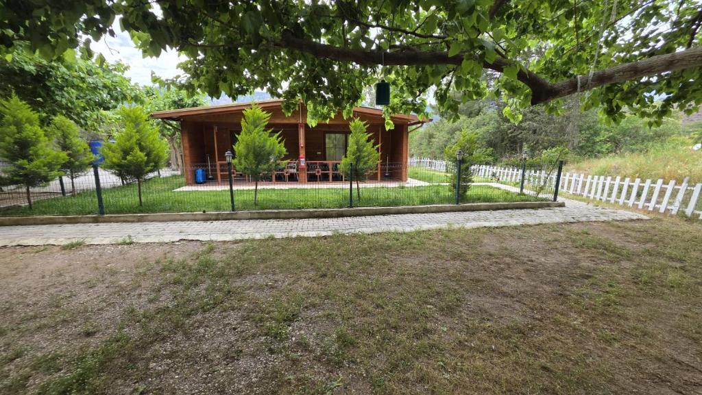 Cirali Camping 3