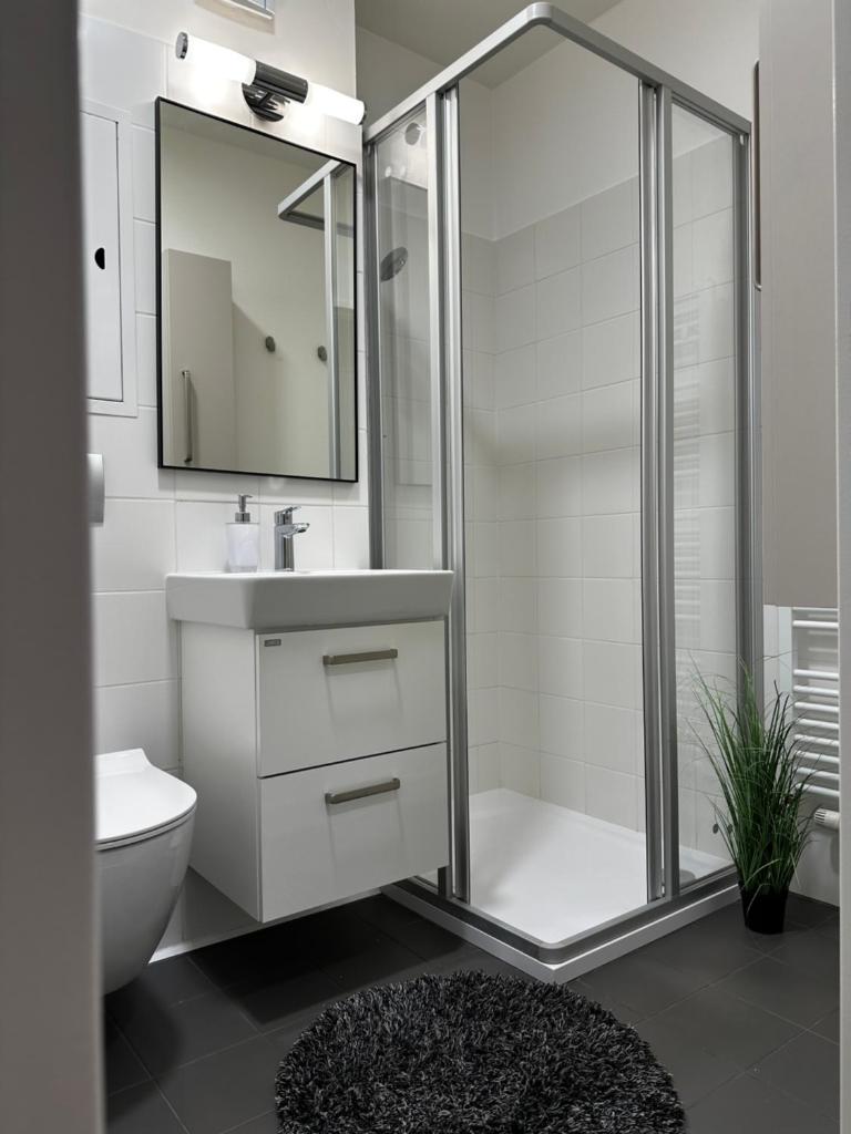 Campea Business Apartments 6
