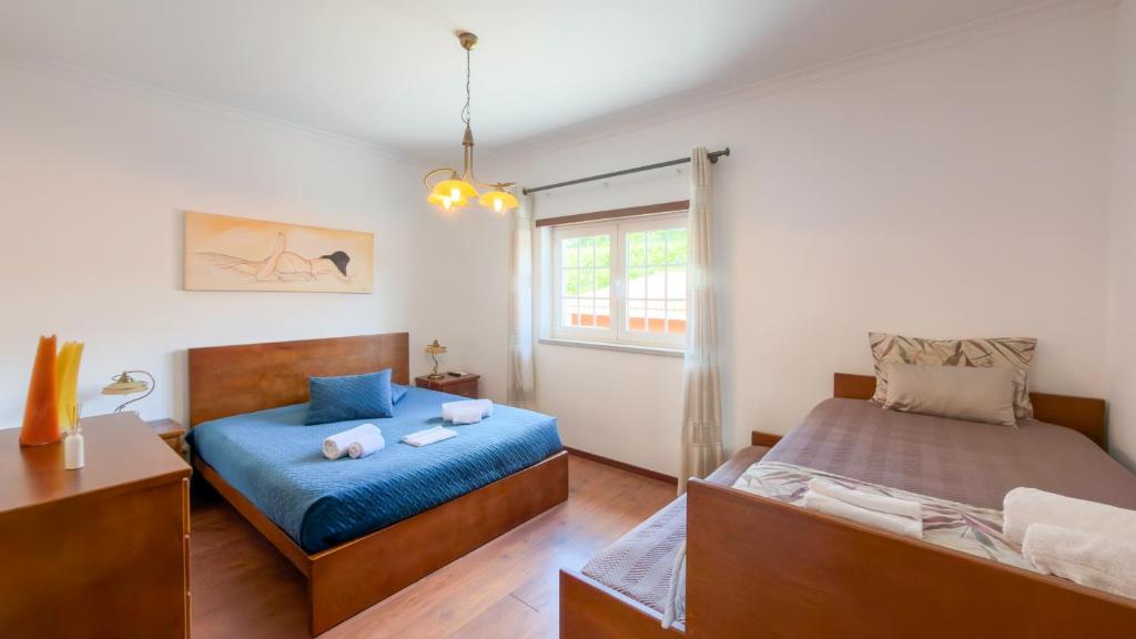 Oliveira Douro House 7