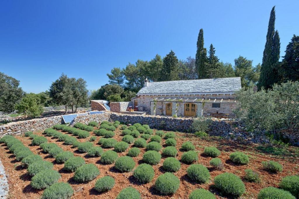 Villa Humac Hvar 3