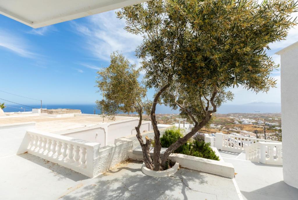 v&n villa santorini 3