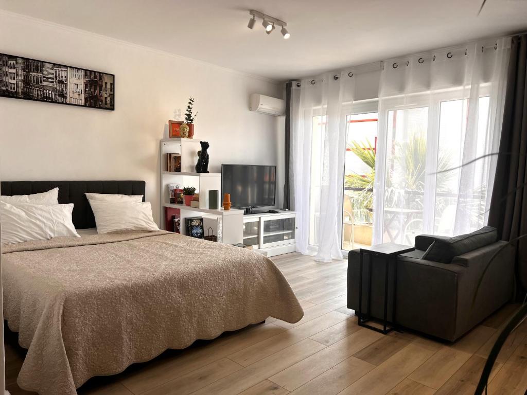 Spacious Studio 2